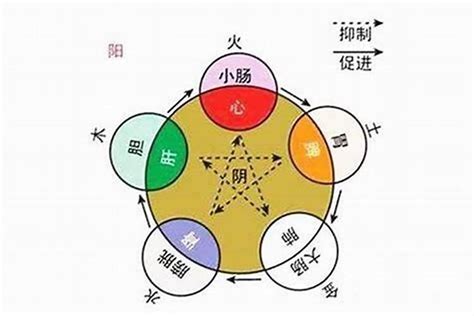 上海五行|上海的五行属性是什么，什么八字适合去上海